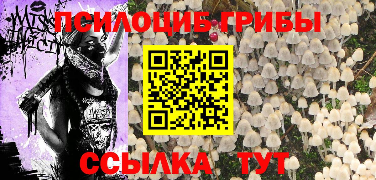 Галлюциногенные грибы GOLDEN TEACHER Избербаш