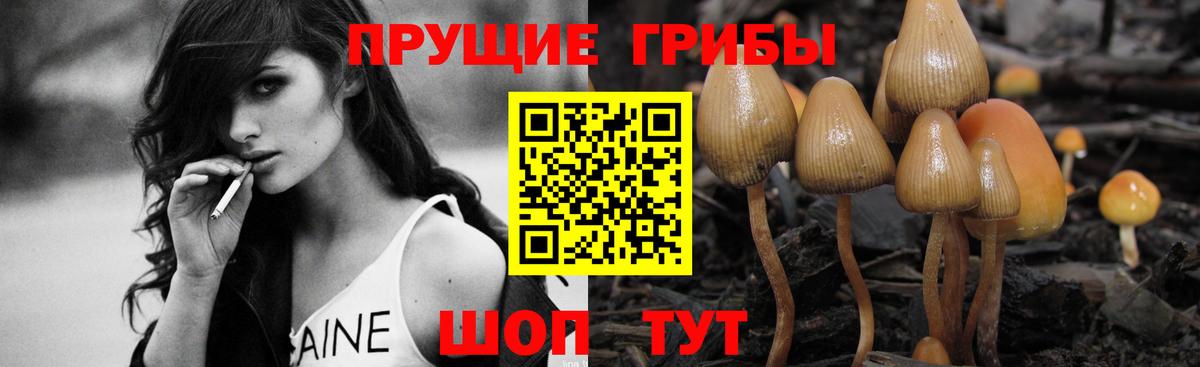 Избербаш  Галлюциногенные грибы Magic Shrooms  Вход с VPN 