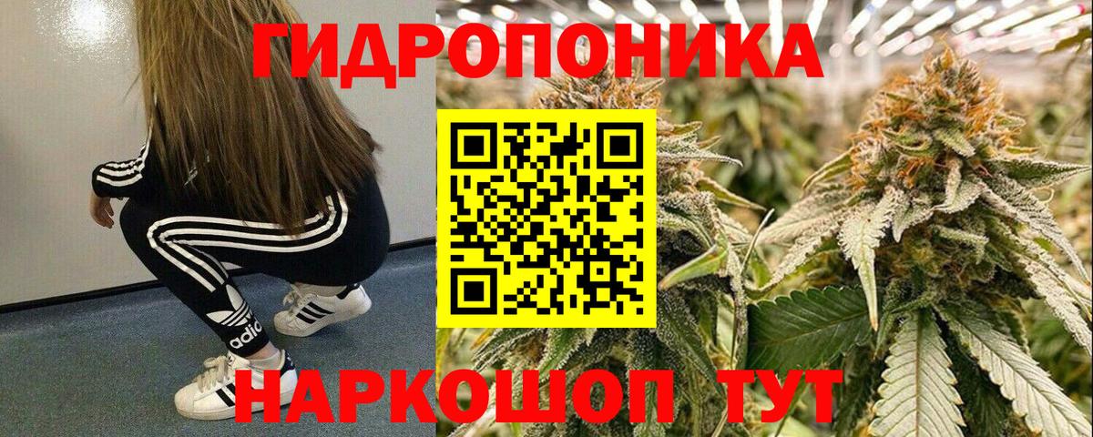 Конопля Amnesia Избербаш